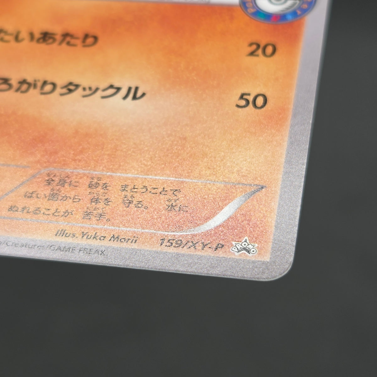 Hippopotas 159/XY-P Promo Center Japanese Pokemon Card