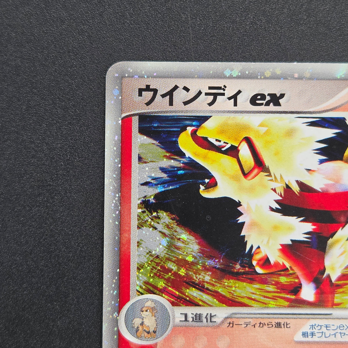 Arcanine ex 016/086 Mirage Forest 2005 Holo Pokémon Card