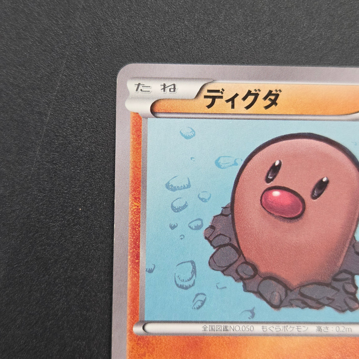 Diglett 023/XY-P Promo Gym Pack 2014 Japanese Pokemon Card