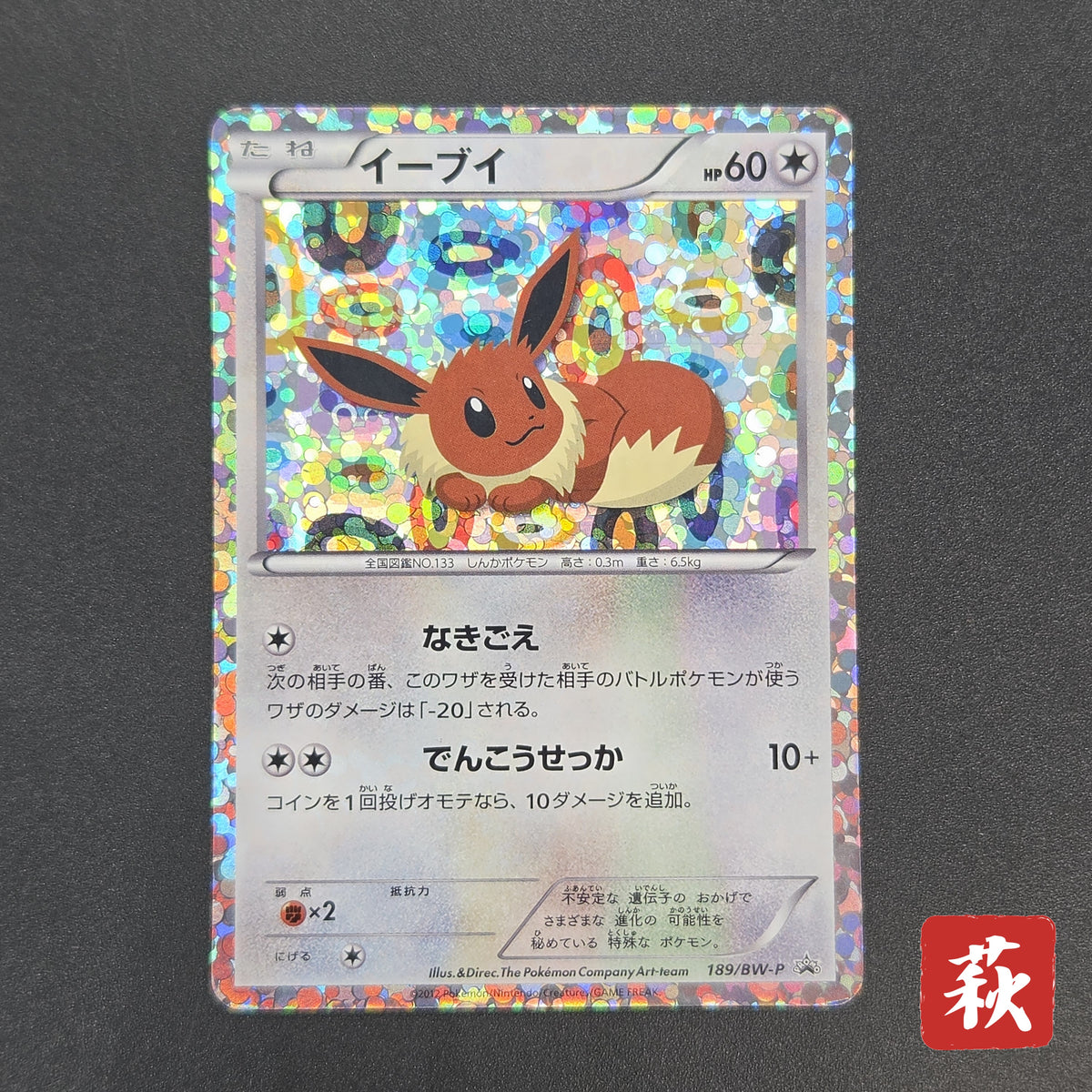 Eevee 189/BW-P Black & White Promo Holo Pokemon Card
