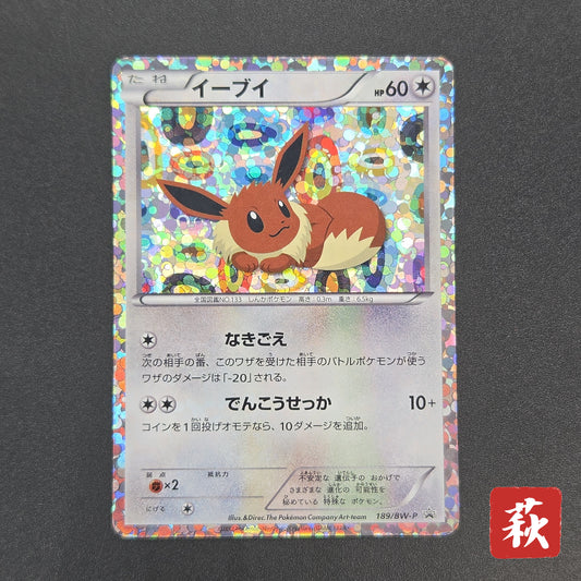 Eevee 189/BW-P Black & White Promo Holo Pokemon Card