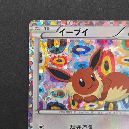 Eevee 189/BW-P Black & White Promo Holo Pokemon Card
