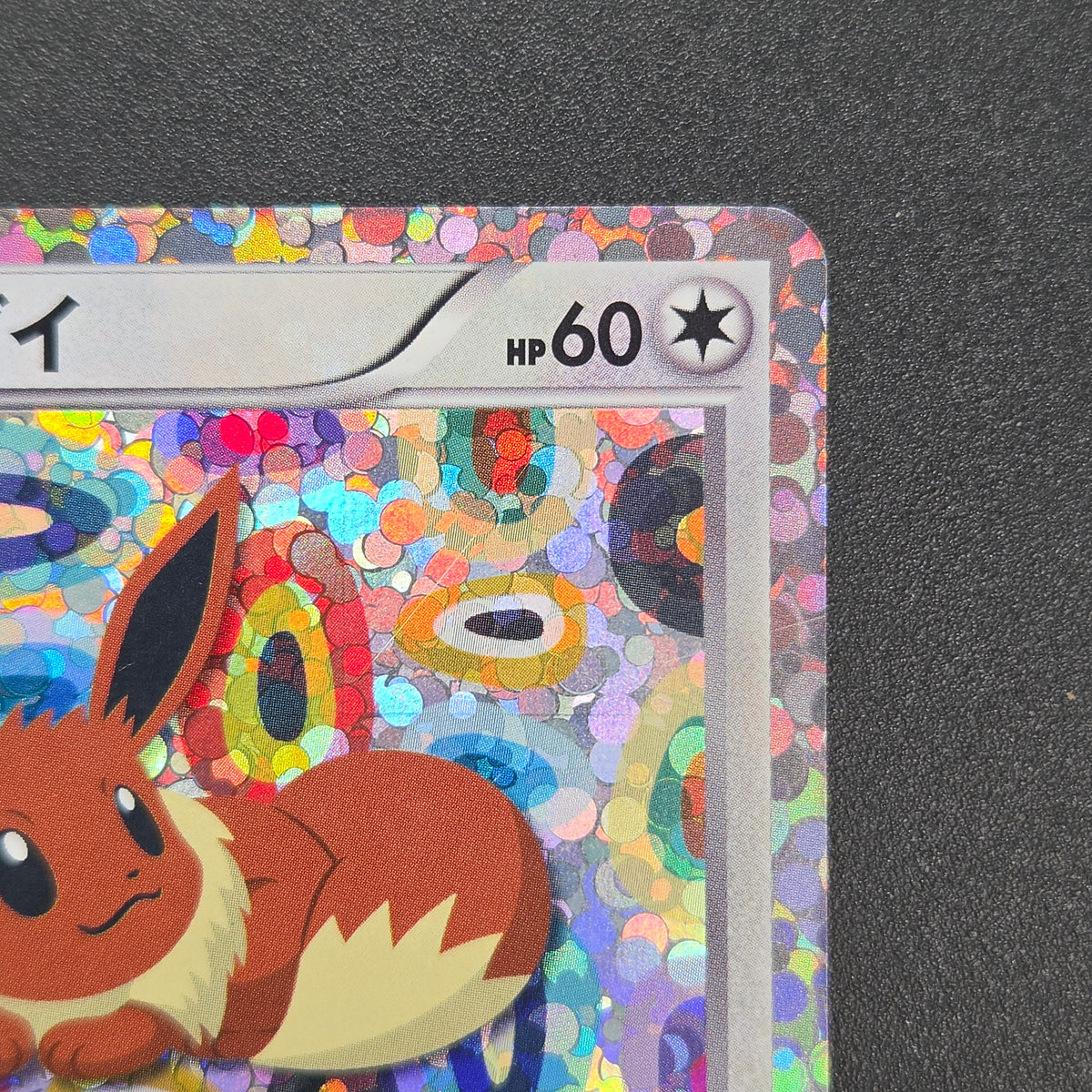 Eevee 189/BW-P Black & White Promo Holo Pokemon Card