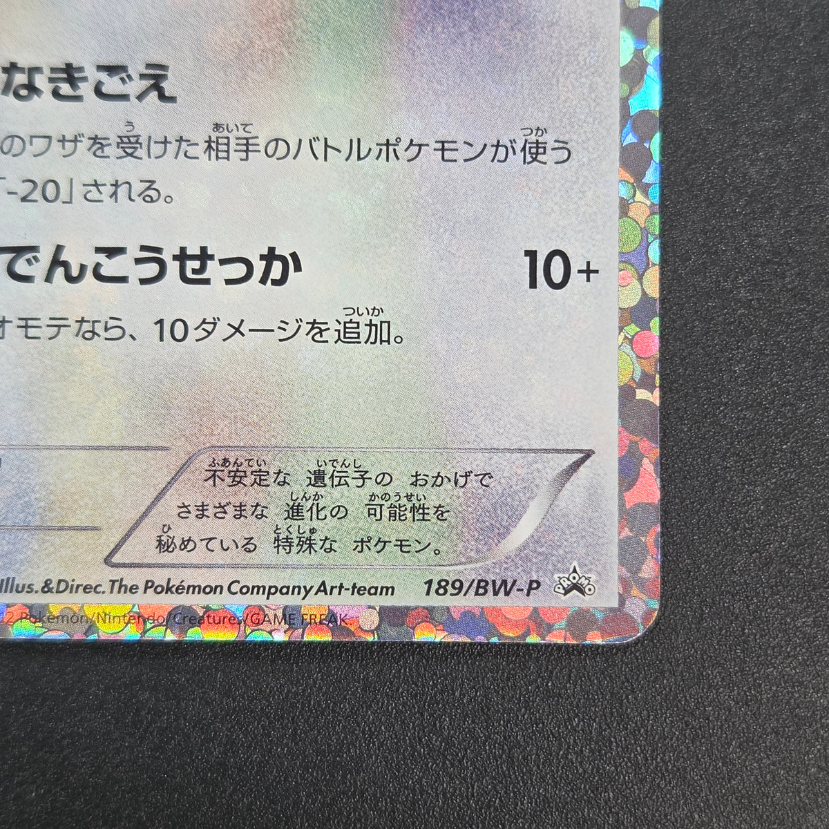 Eevee 189/BW-P Black & White Promo Holo Pokemon Card