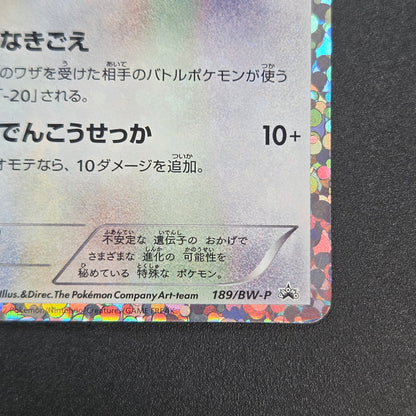 Eevee 189/BW-P Black & White Promo Holo Pokemon Card