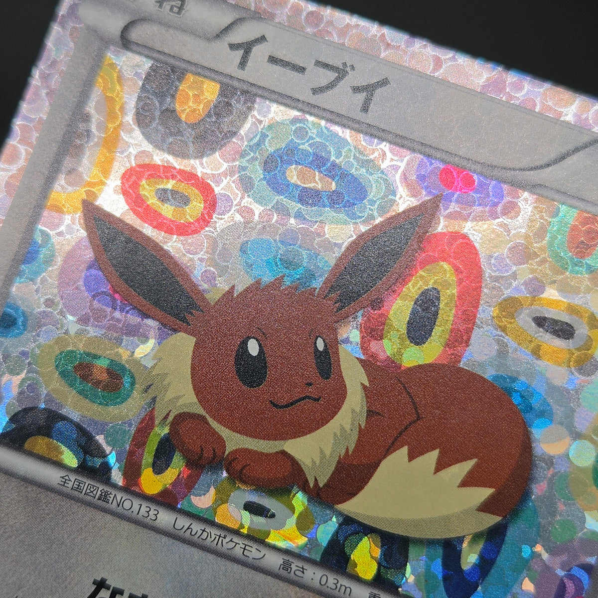Eevee 189/BW-P Black & White Promo Holo Pokemon Card