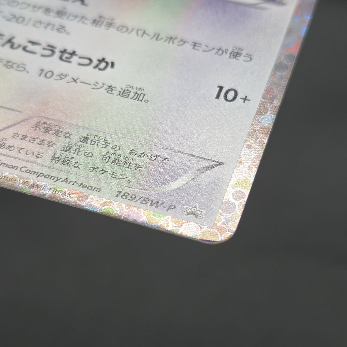 Eevee 189/BW-P Black & White Promo Holo Pokemon Card