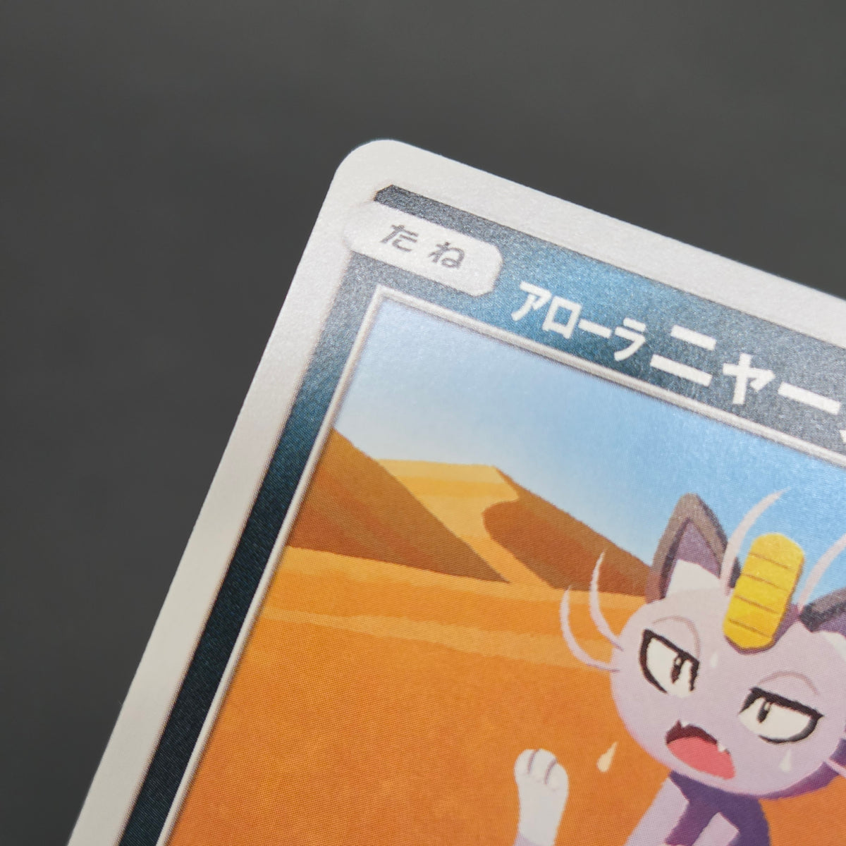 Alolan Meowth 255/SM-P 032/SM-P Promo Gym Pokemon Card