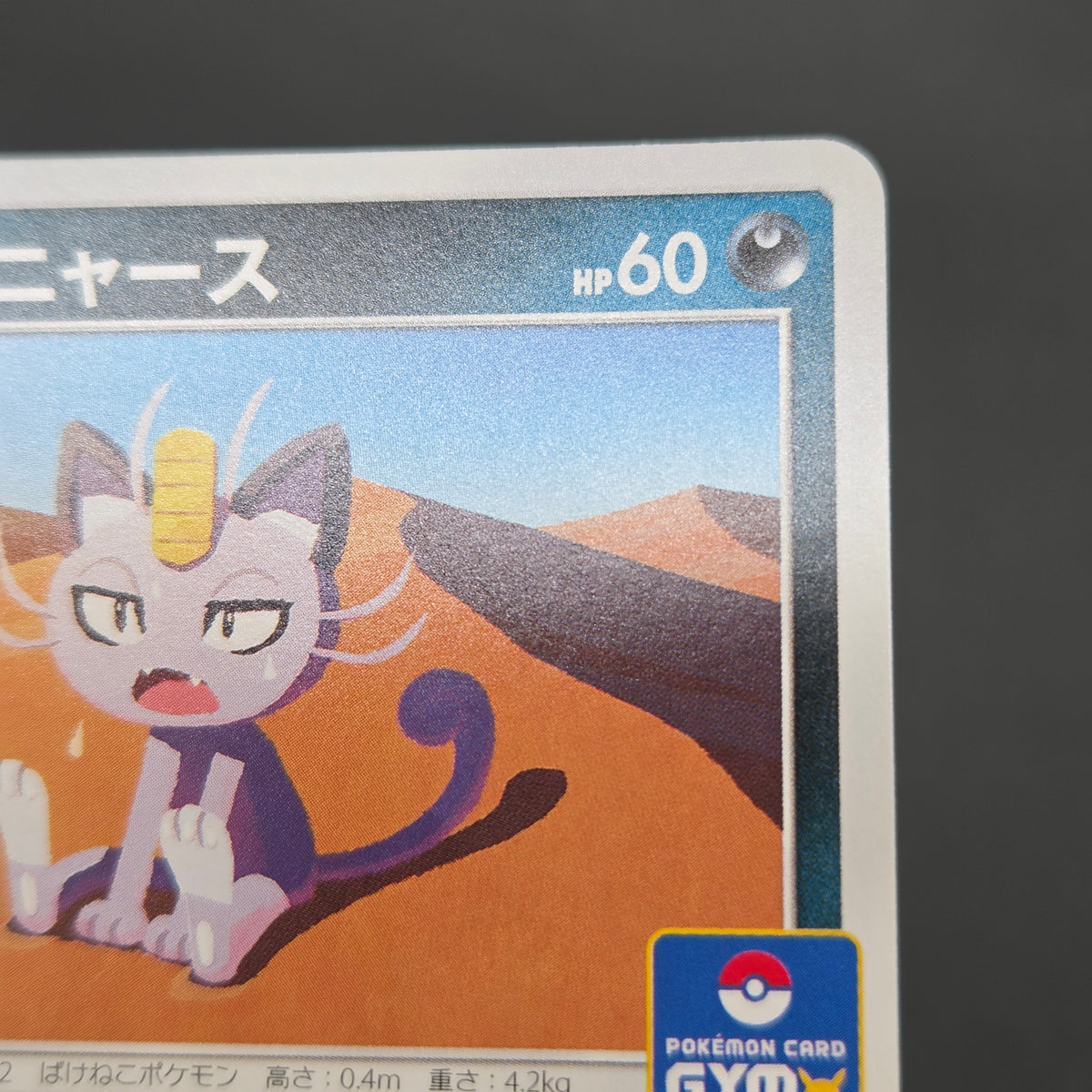 Alolan Meowth 255/SM-P 032/SM-P Promo Gym Pokemon Card