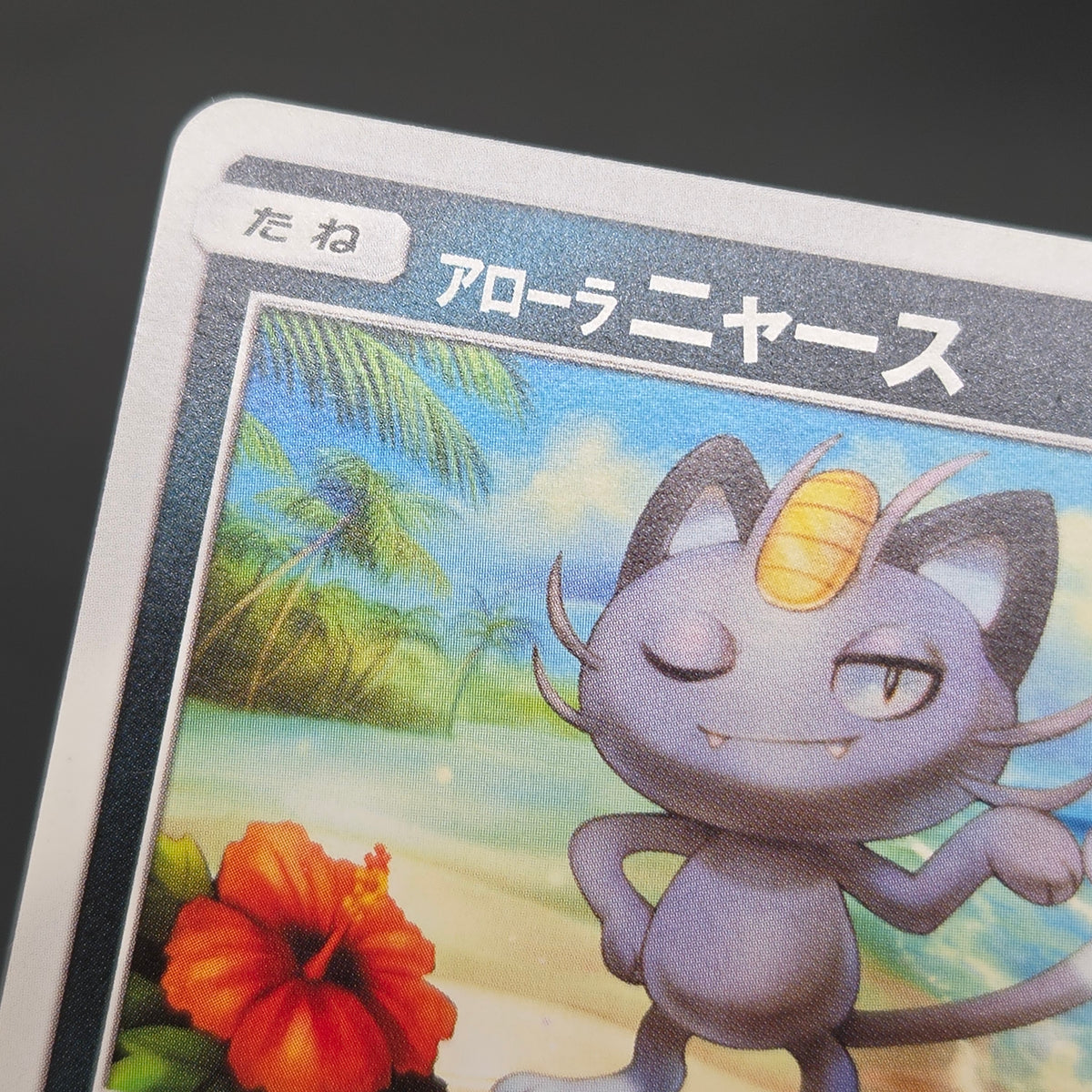 Alolan Meowth 255/SM-P 032/SM-P Promo Gym Pokemon Card