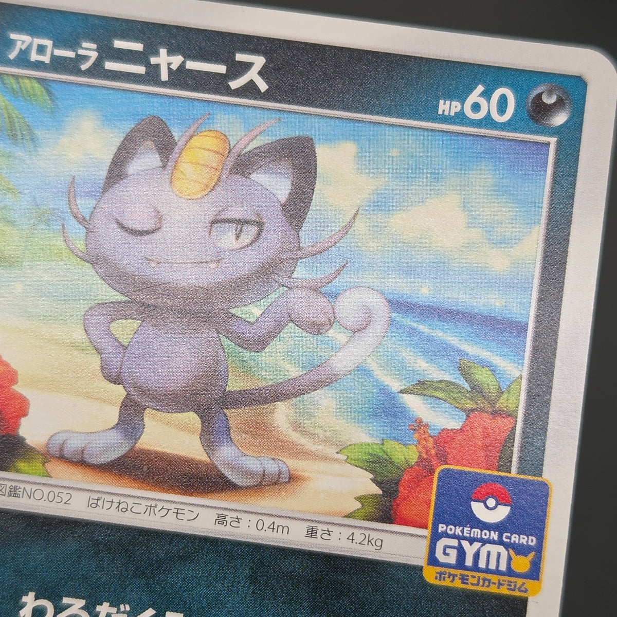 Alolan Meowth 255/SM-P 032/SM-P Promo Gym Pokemon Card