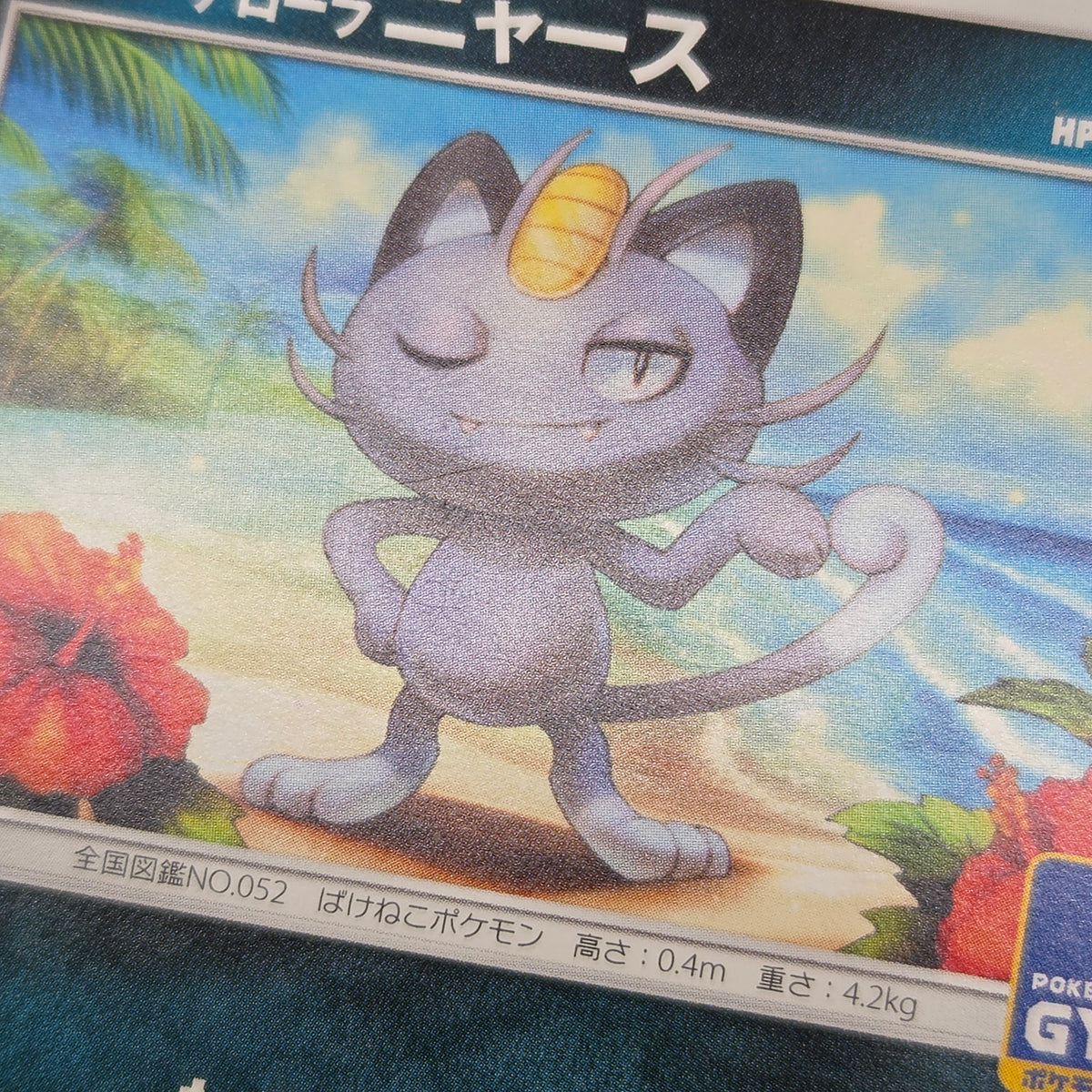 Alolan Meowth 255/SM-P 032/SM-P Promo Gym Pokemon Card