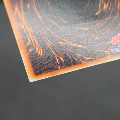 Red Eyes Darkness Dragon W6S-JP001 Ultimate Rare Relief Japanese Yu-Gi-Oh! Card