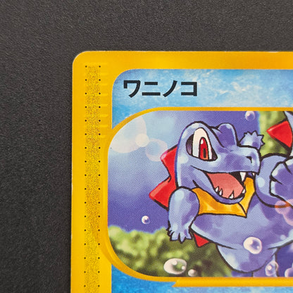 Totodile 008/018 McDonald's Original Minimum Pokémon Card