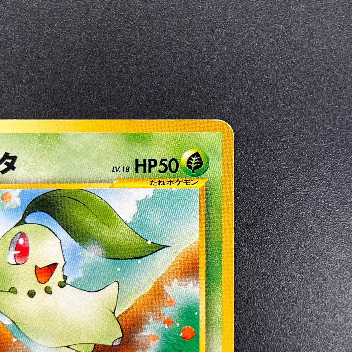 Chikorita No. 152 Intro Pack Promo Half Deck Pokémon Card