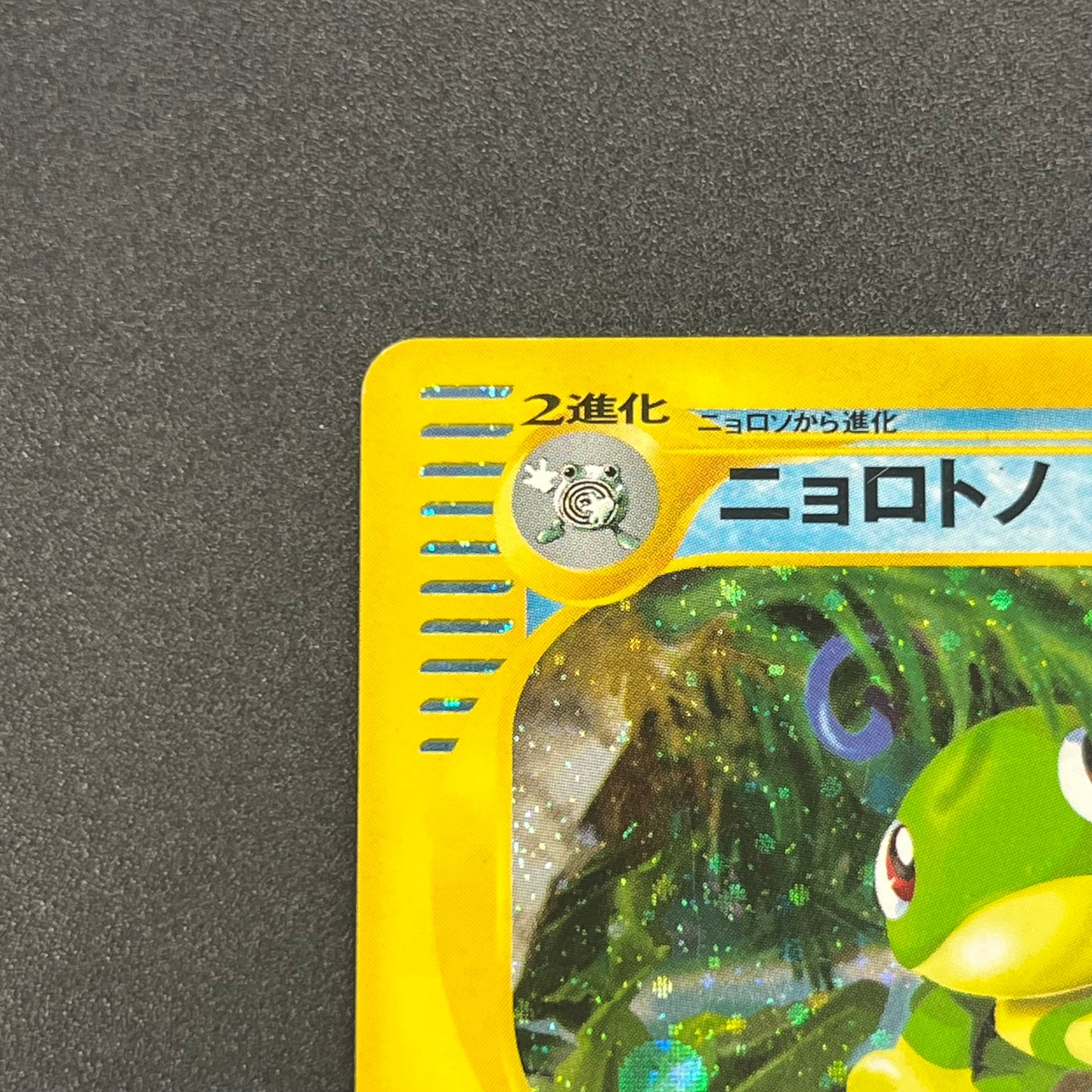 Politoed 031/088 e Series Skyridge Holo 1ED Pokémon Card