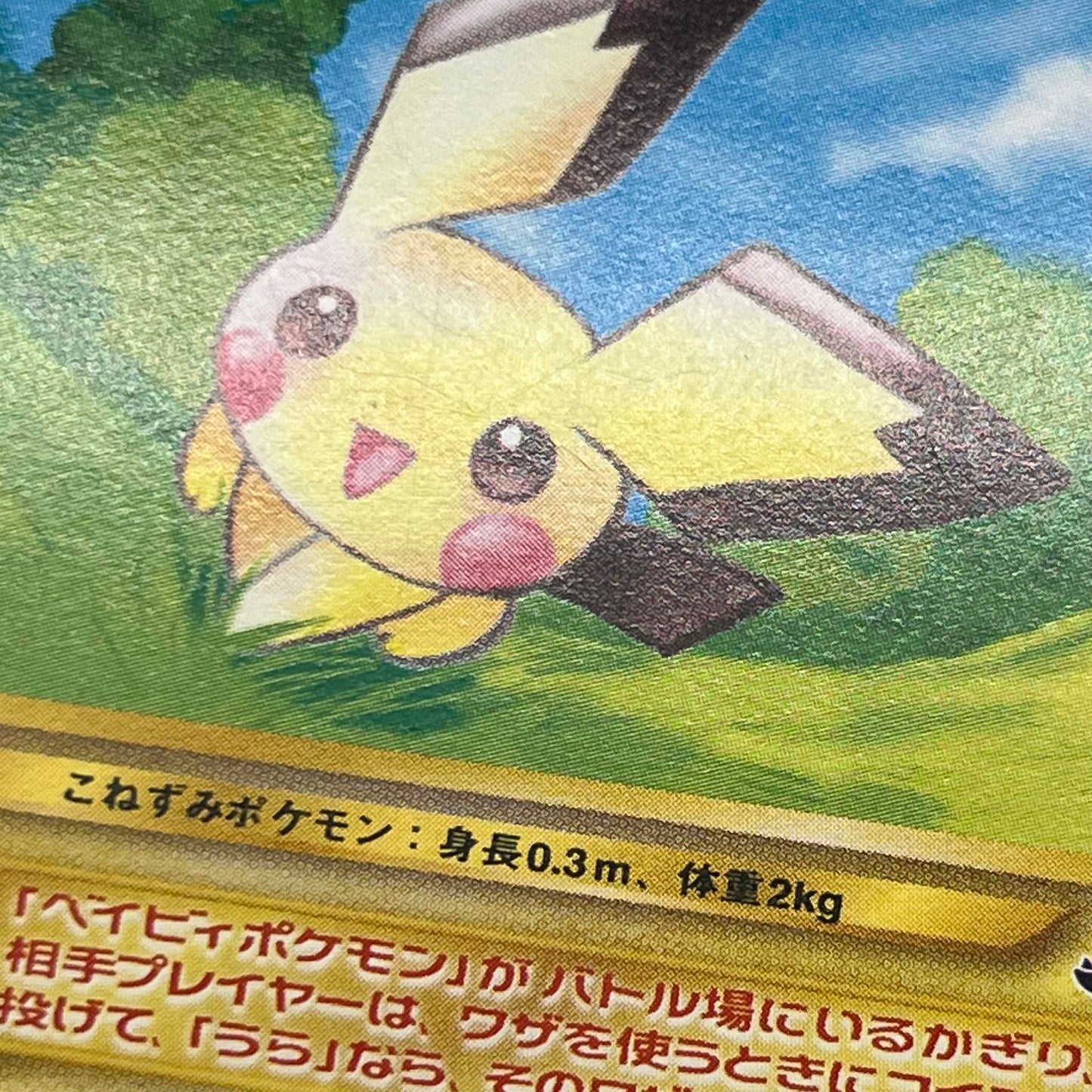 Pichu No.172 Intro Pack Totodile Deck Pokémon Card
