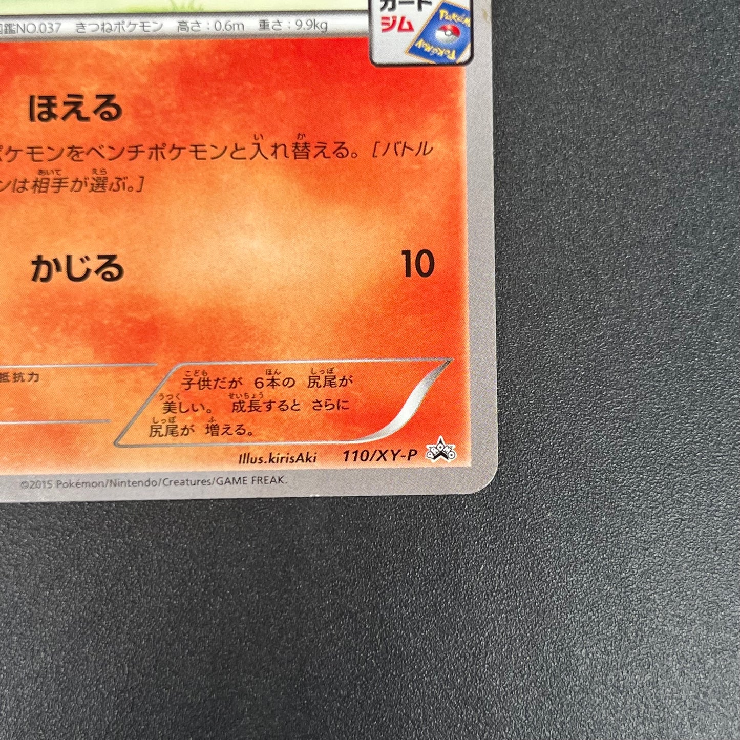 Vulpix 110/XY-P Promo Gym 4th MP Japanese Pokémon Card