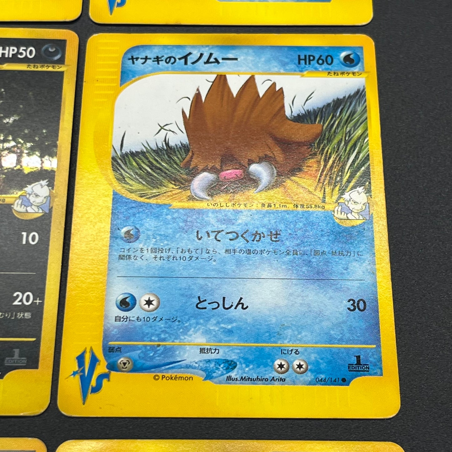 Pryce's Sneasel Articuno Lapras etc 9set VS Pokemon Card