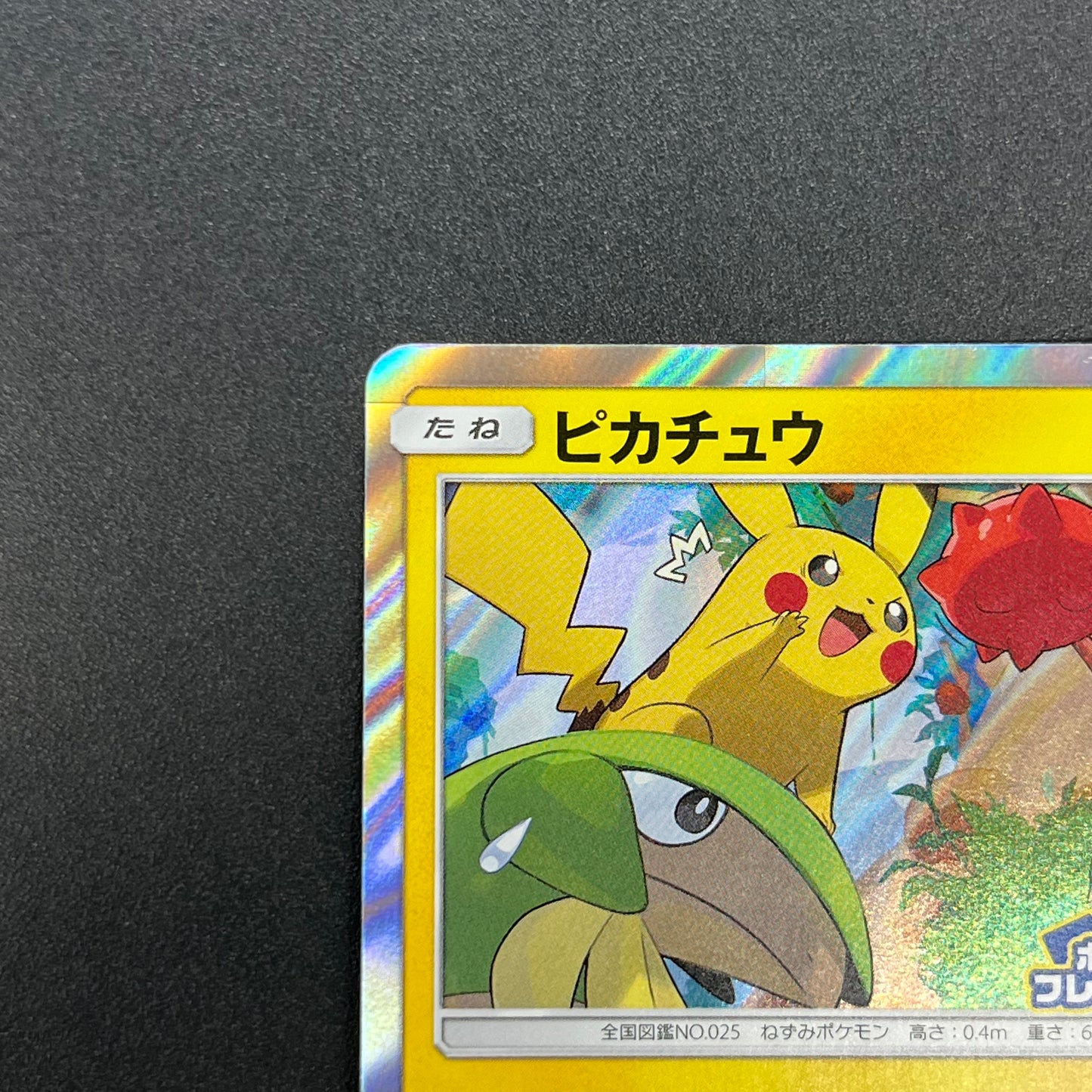 Pikachu 227/SM-P Promo Friendly Shop Japanese Pokémon Card