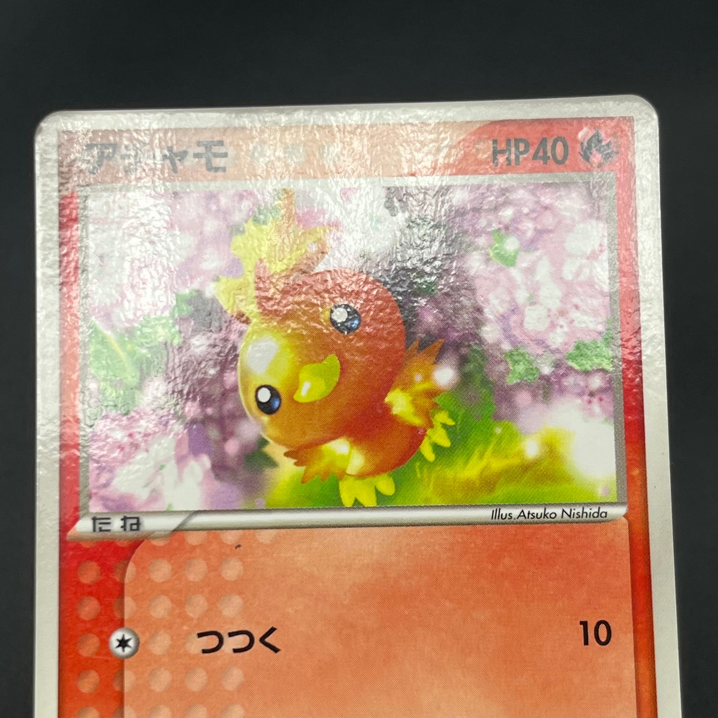 Treecko Torchic Mudkip 005/ADV-P McDonald's Pokémon Card
