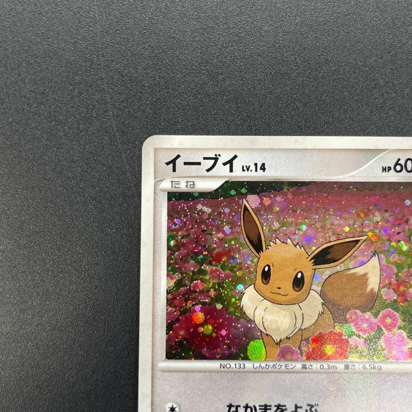 Eevee 063/DP-P Promo Trade Please event Pokemon Card