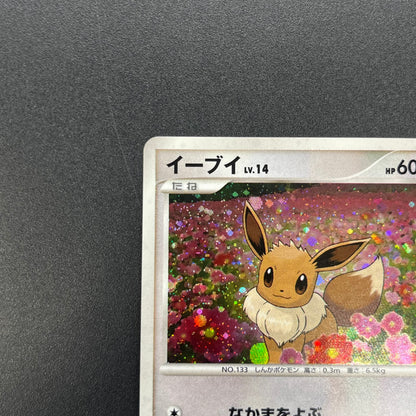 Eevee 063/DP-P Promo Trade Please event Pokemon Card