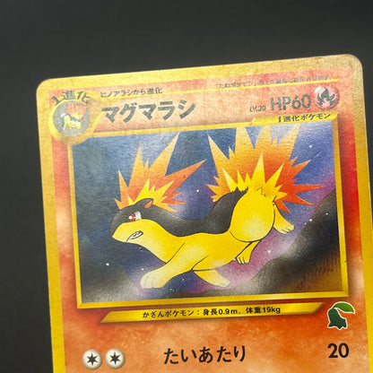 Quilava 156 Intro Pack Chikorita Half Deck Pokémon Card