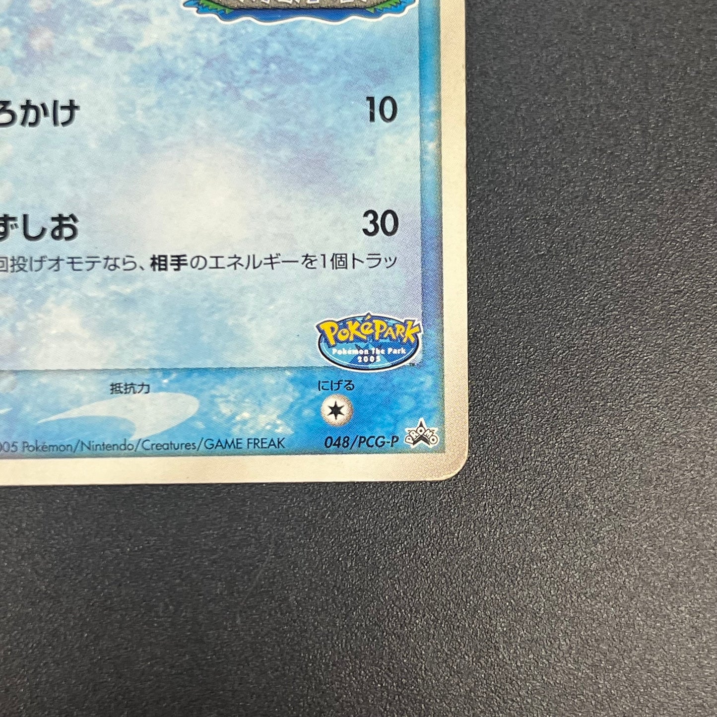 PokePark's Mudkip 048/PCG-P Promo Japanese Pokemon Card