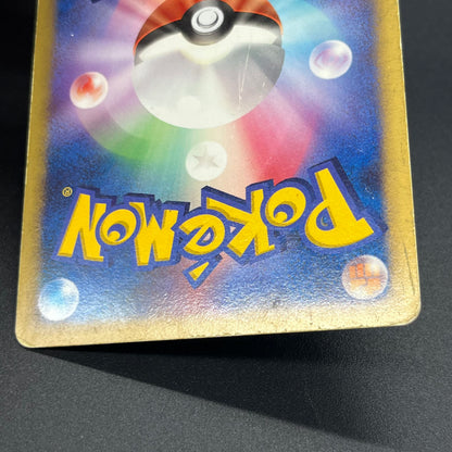 Garchomp LV.X Holo Visual Book Promo & DP4 Pokemon Card