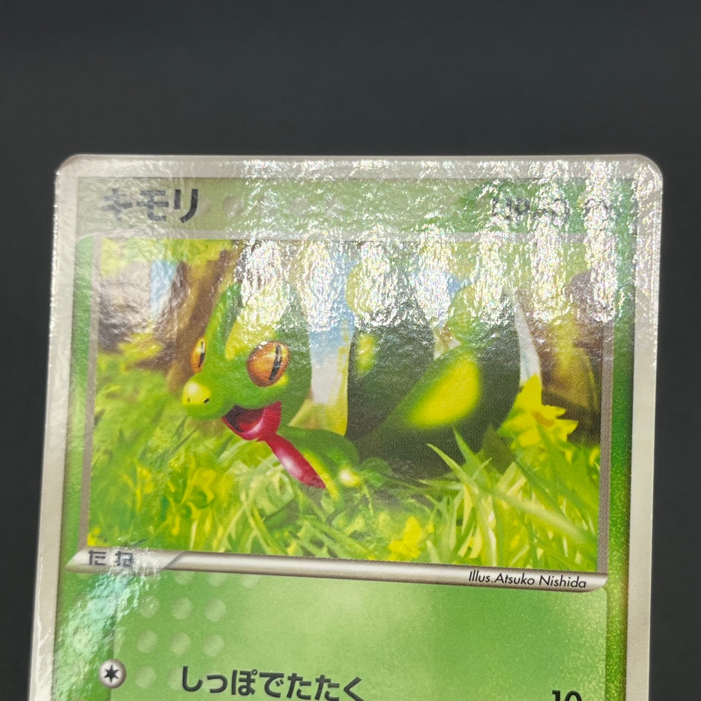 Treecko Torchic Mudkip 005/ADV-P McDonald's Pokémon Card