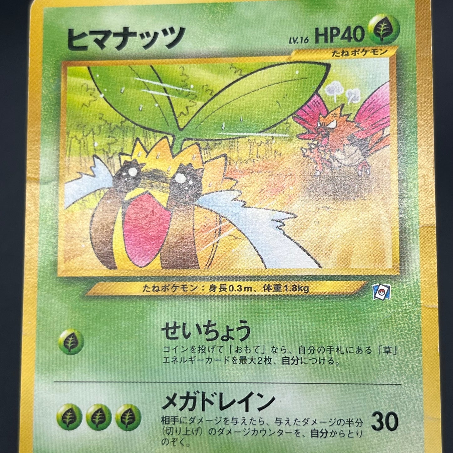 Sunkern 191 Natta Wake Vol.4 MP Promo Vintage Pokémon Card