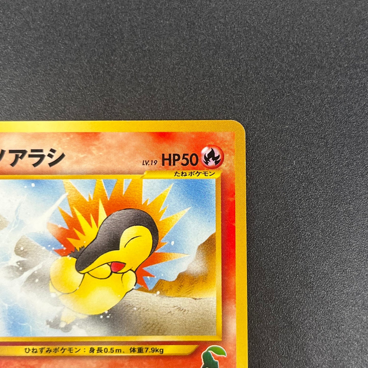 Cyndaquil 155 Intro Pack Neo Chikorita Deck Pokemon card