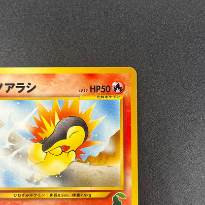 Cyndaquil 155 Intro Pack Neo Chikorita Deck Pokemon card