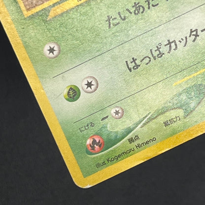 Chikorita No. 152 Intro Pack Promo Half Deck Pokémon Card