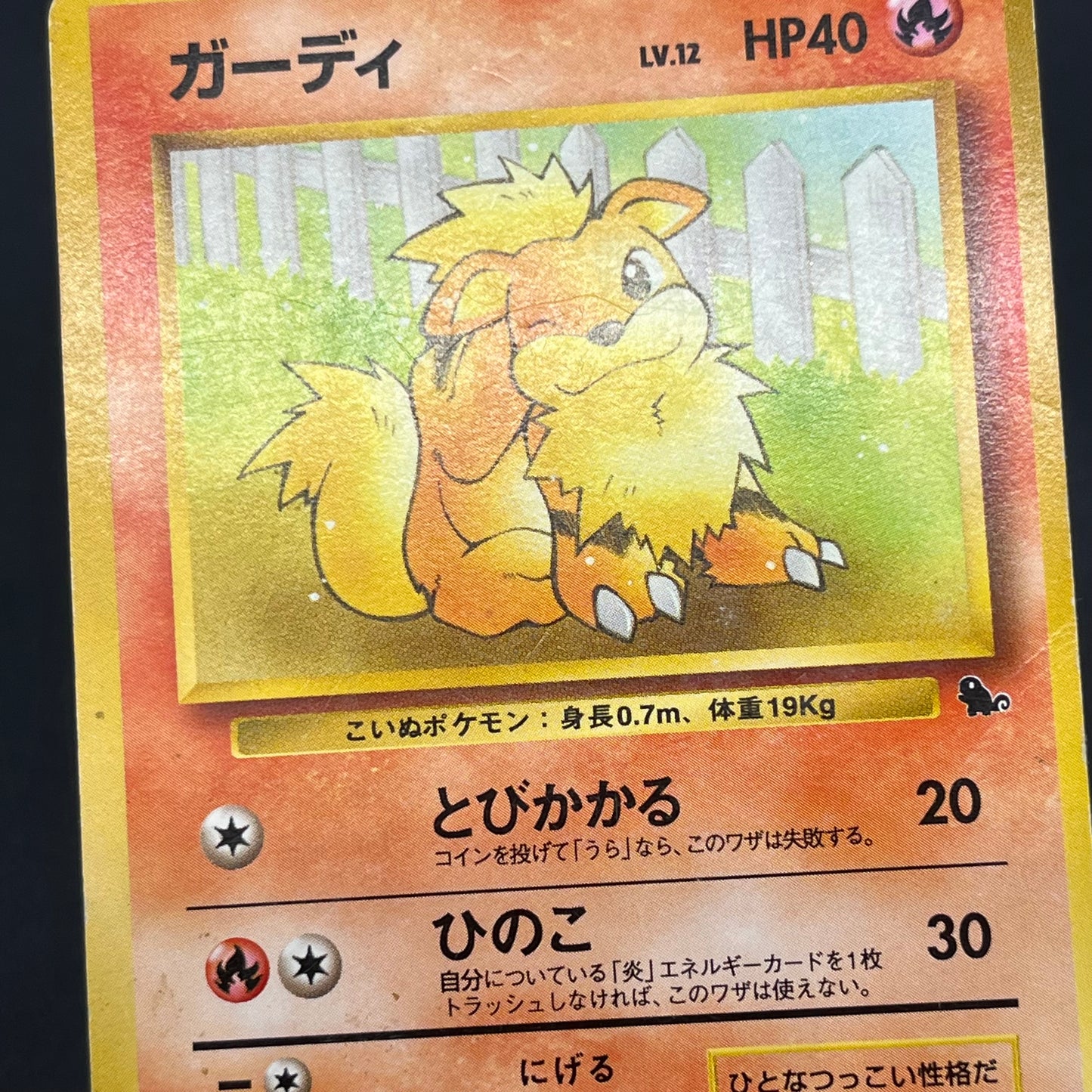 Growlith No. 058 Intro Pack Squirtle Japanese Pokémon Card
