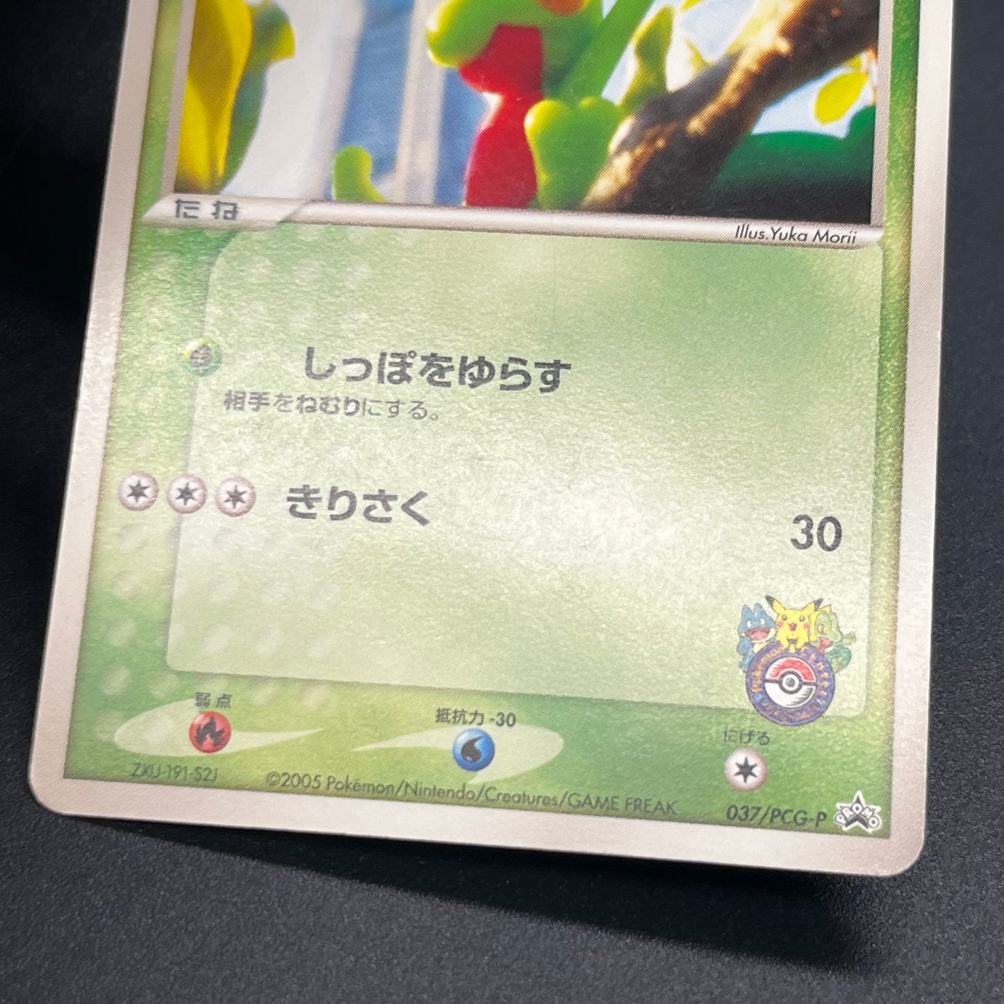 Treecko 037/PCG-P Yokohama Center Opening Pokemon Card