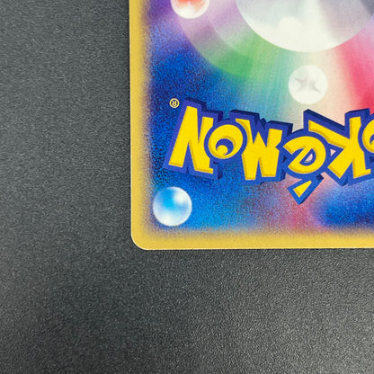 Forina's Absol 040/ADV-P Promo Gym Official Lottery Card