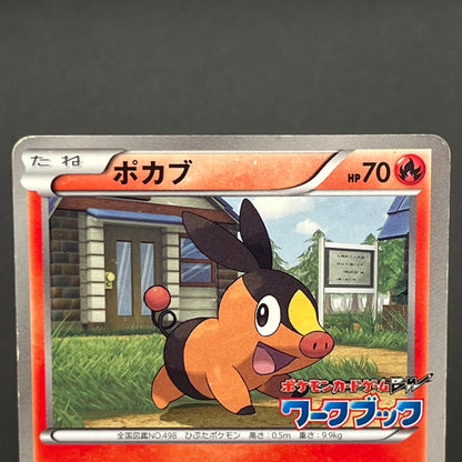 Oshawott Tepig Snivy BW-P Workbook Promo 3set Pokemon Card