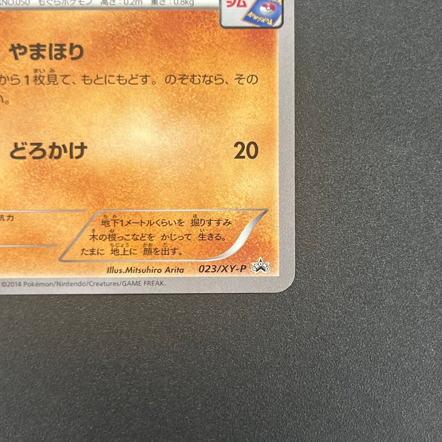 Diglett 023/XY-P Promo Gym Pack 2014 Japanese Pokemon Card