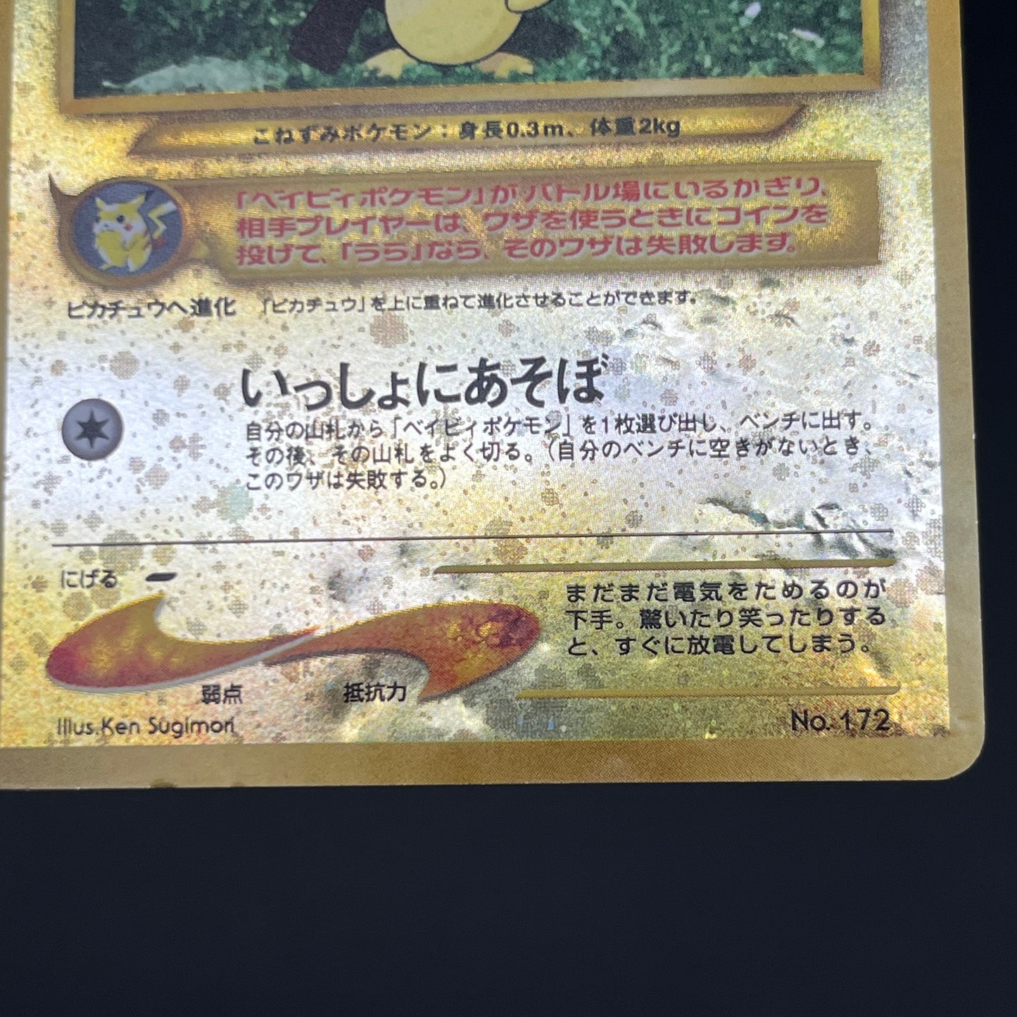Charizard Pichu & Entei Promo Neo Premium File 2 Card