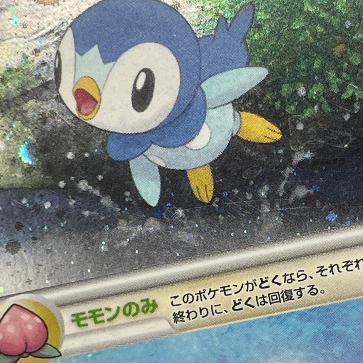 Piplup 003/PPP Promo Earn 2000 EXP Points Pokemon Card