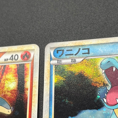 Totodile Phanpy HGSS Promo Holo 6set Jpanaese Pokémon Card