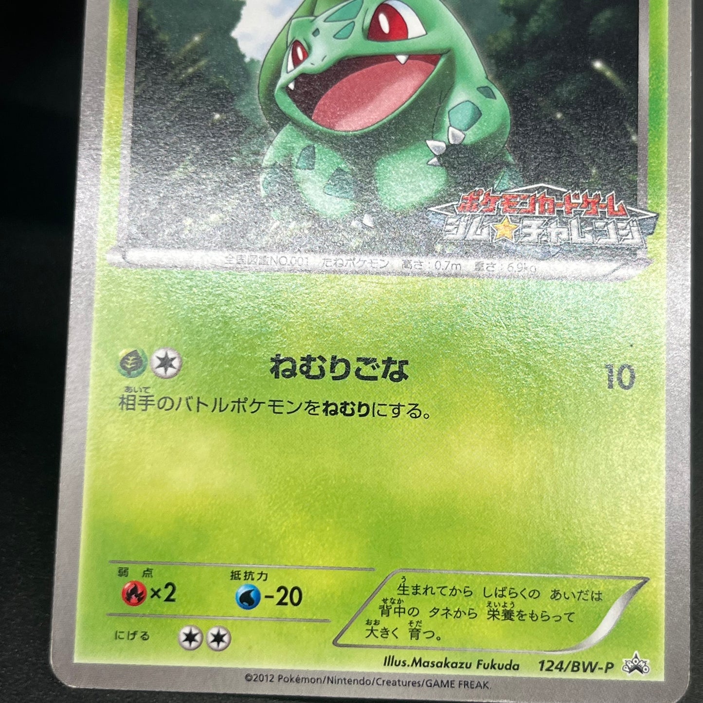 Bulbasaur 124/BW-P Gym Challenge Promo Pokémon Card