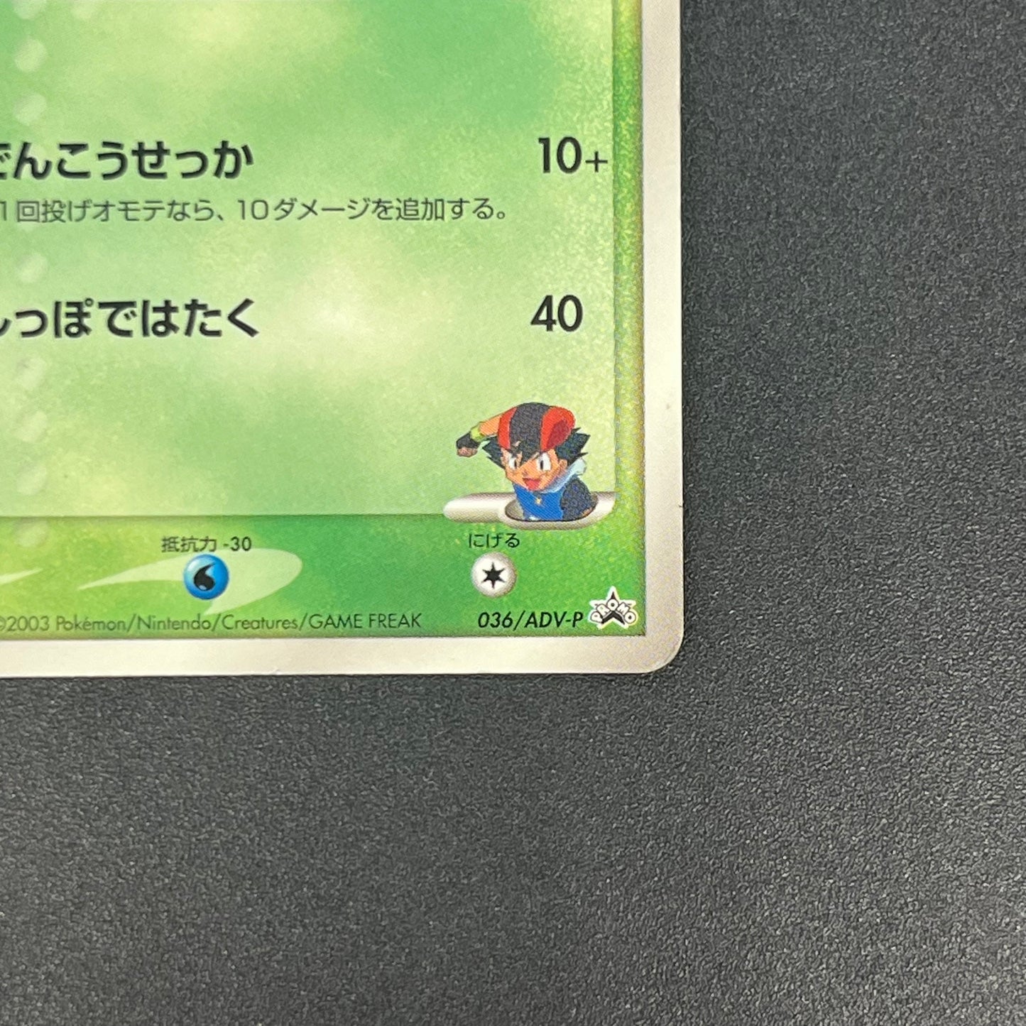 Ash's Treecko 036/ADV-P Shogakukan Promo Pokémon Card