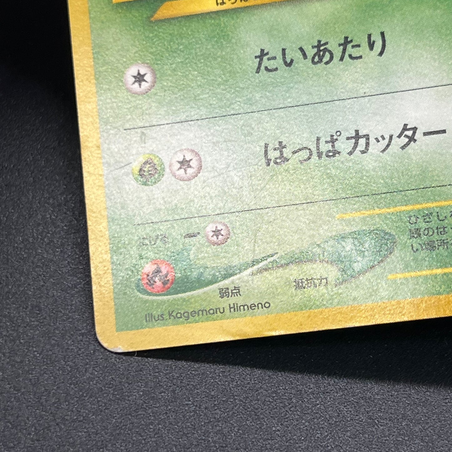 Chikorita No. 152 Intro Pack Promo Half Deck Pokémon Card
