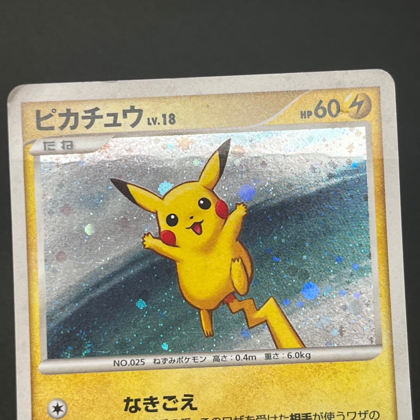 Pikachu 113/DP-P Pichu Raichu Challenge Trade Pokémon Card