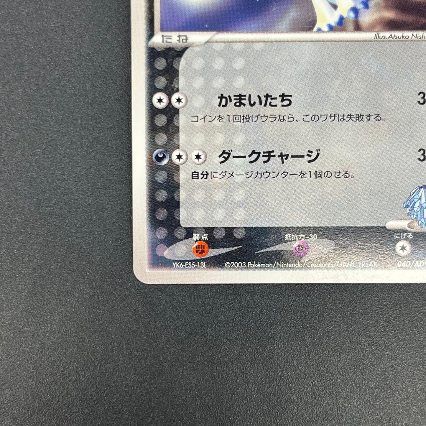 Forina's Absol 040/ADV-P Promo Gym Official Lottery Card