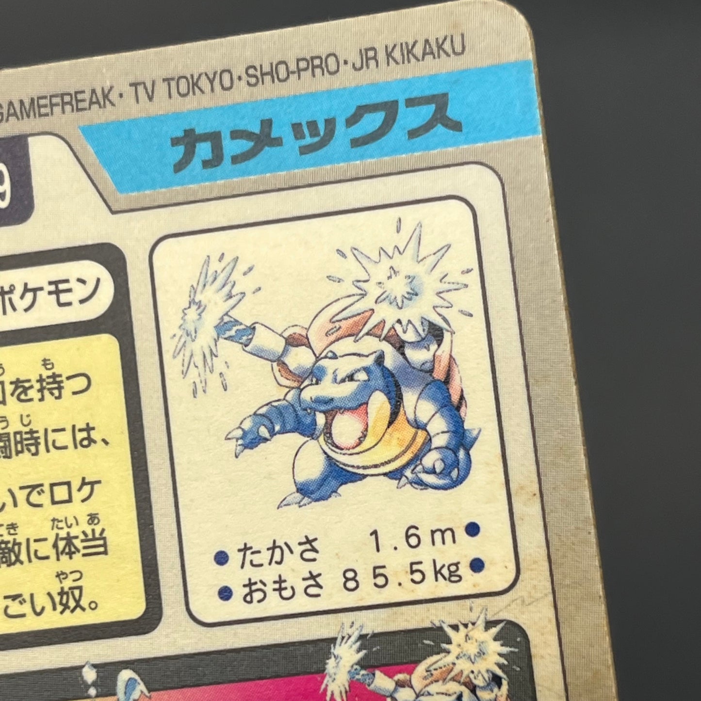 Blastoise Venusaur Bandai Carddass Holo Japanese Card