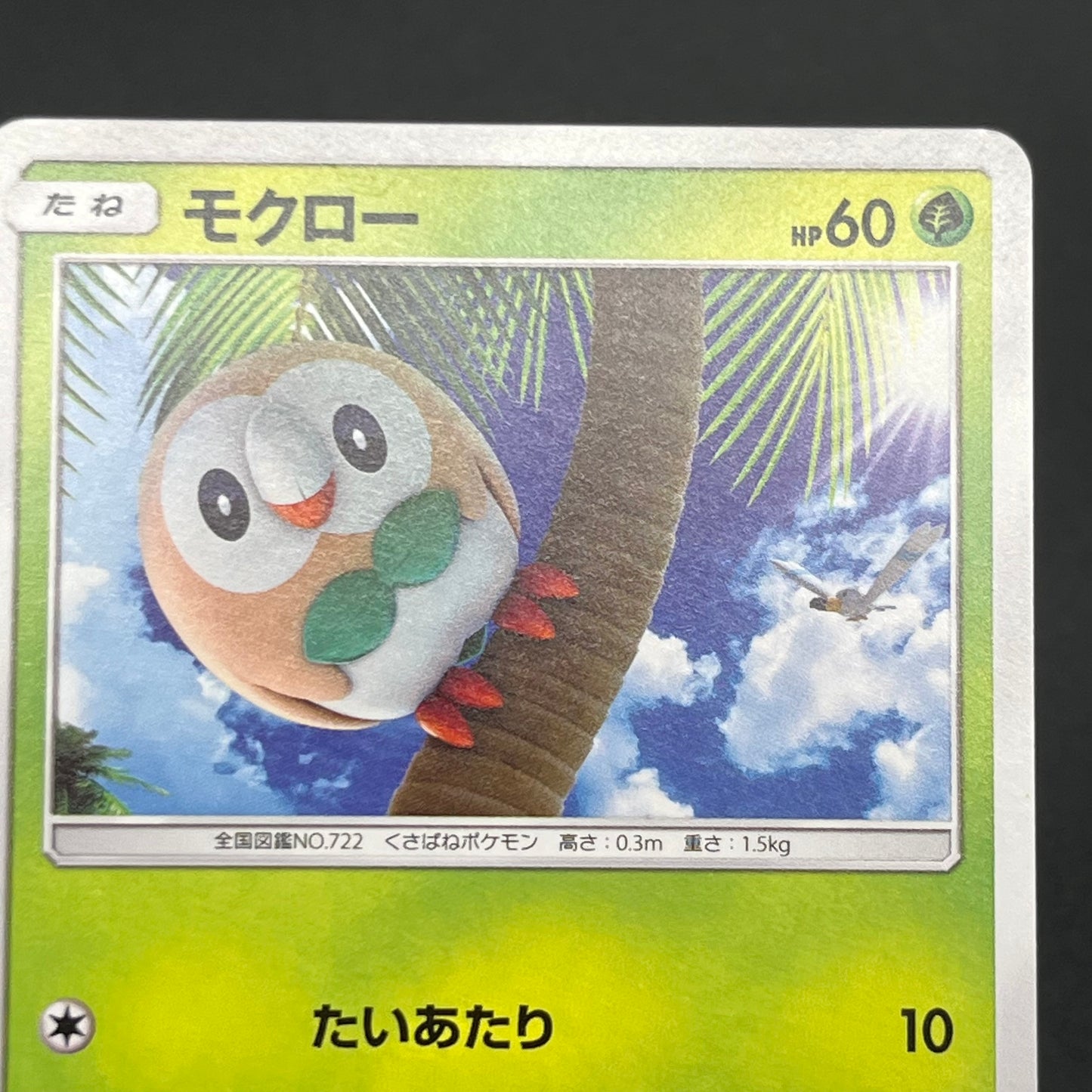 Rowlet 169/SM-P Promo Toys Kingdom promotion Pokemon Card